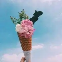 最好看的微信花束头像包裹花束唯美清新头像大图
