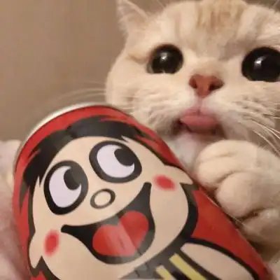 小猫.
