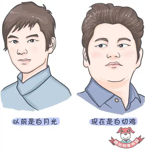 18排行榜丨no.4这10个饮食习惯让你变成易胖体质
