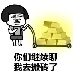 搬砖回来了表情包,刚起床我就要去上班了
