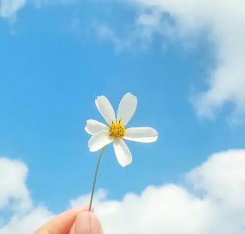 治愈人心的朋友圈短句,唯美精致,发朋友圈超赞
