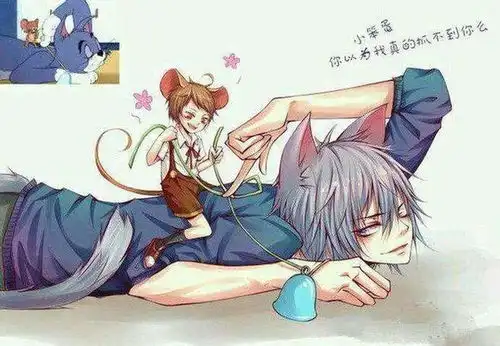 猫和老鼠表情包
