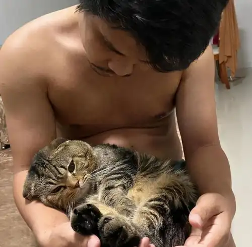 女子执意要养猫,但没过多久,她就后悔了,这不是自讨苦吃吗
