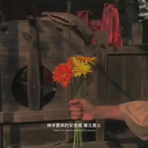 情绪化时发的文案
