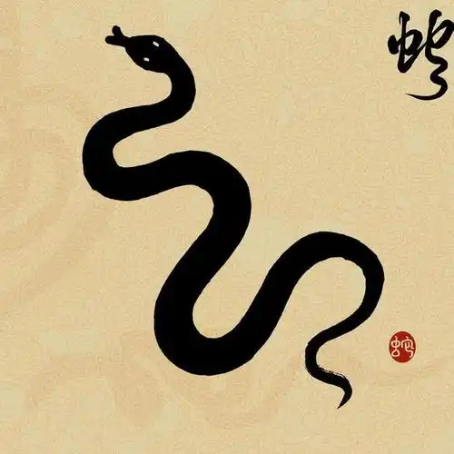 生肖学七月份,生肖蛇将面临的转折点
