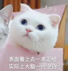 小米电视云测评43英寸全系列
