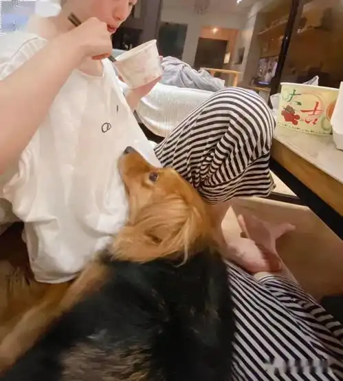 妈称赞邻居家狗狗聪明会开门,当晚爱犬吃醋狂示范开门我也会嘛
