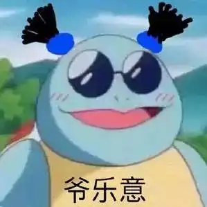 精选表情第五期憨批龟

