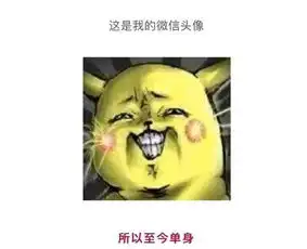 头像会不会影响别人对你的第一印象
