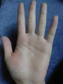 请懂得手相的人帮我看一下我的命运和运气财运性格等等如何,非常谢谢,我是专门下载这个来问手相的,刚玩
