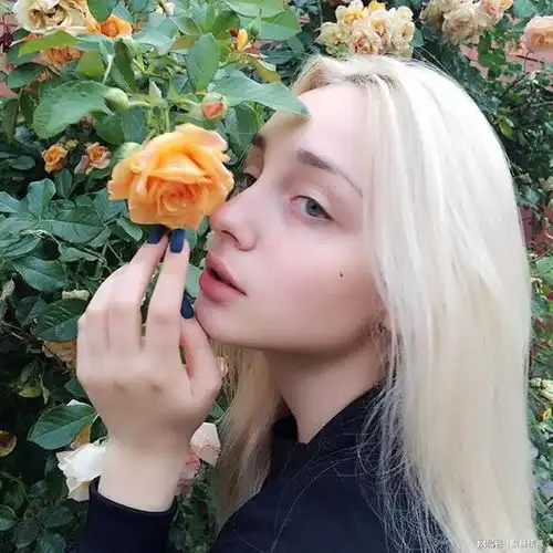 妈,你这么喜欢大嫂,别住我家,去她家住吧,这样我省心婆媳关系婆媳矛盾网易订阅
