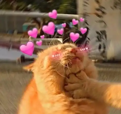 十二星座的恋爱态度,果然爱情令人盲目啊
