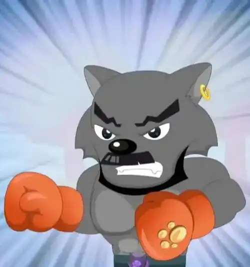 拳击手
