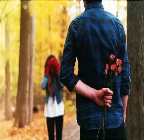 十二星座关系图
