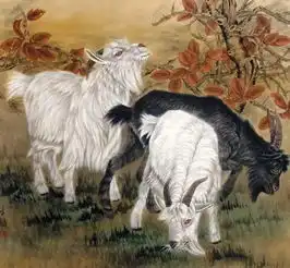 十二月将喜事连连,财运旺整月到年底的生肖
