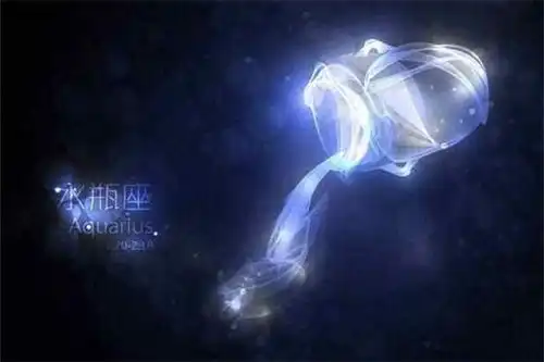 水瓶座女生和什么座最配
