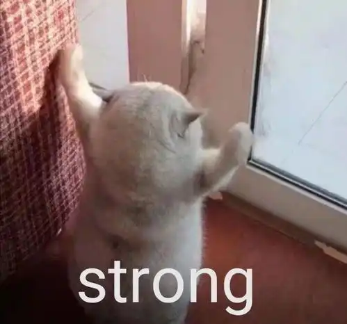 给对象发可爱到打滚的文案句子
