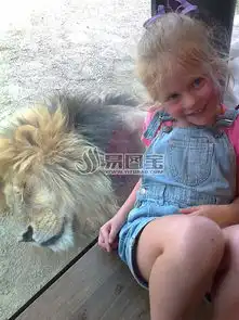 开心的女孩与狮子商用正版图片下载图片id1771523正版图片
