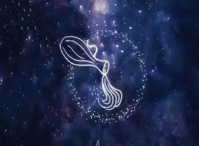 最能降住水瓶座的星座
