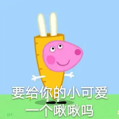 小猪佩奇与乔治
