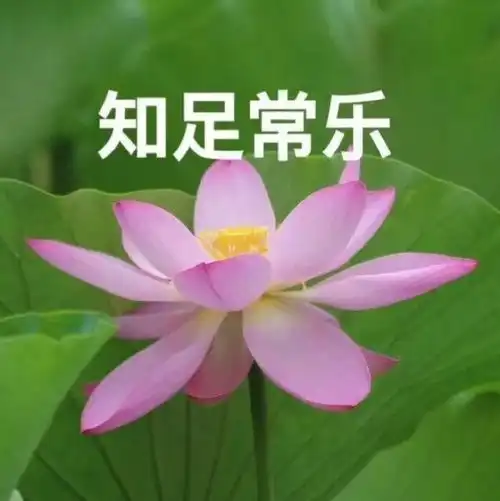 凡尔赛文学都不敢这么写,论成都人有多会享受看这些楼盘就够了
