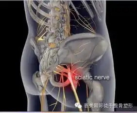 你的脊柱你了解吗
