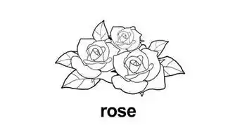 除了荷花和菊花还有什么简笔画的花
