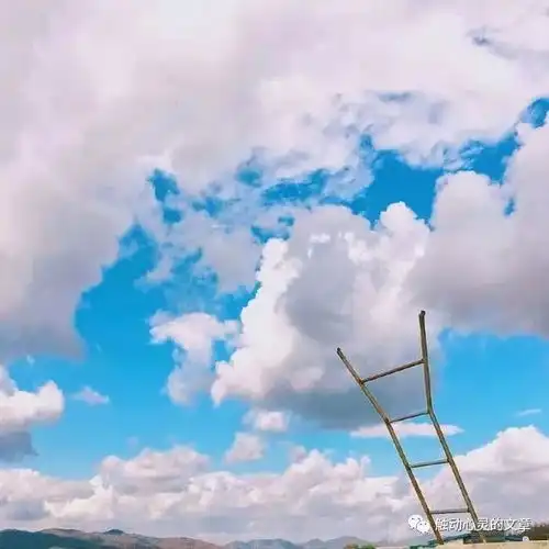 100条令人怦然心动的句子晓看天色暮看云,行也思君,坐也思君
