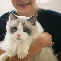 可爱动漫带字表情图片微信头像图片大全
