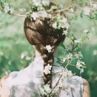 在线收听静思如花荔枝
