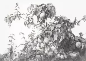 素描的高度四大素描风景高手
