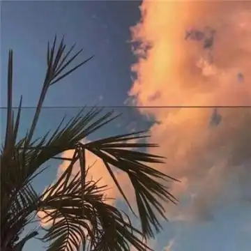 微信最吉利的好看头像唯美意境寓意吉利招财旺运的微信头像
