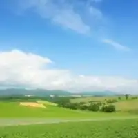 春意盎然的春天风景头像
