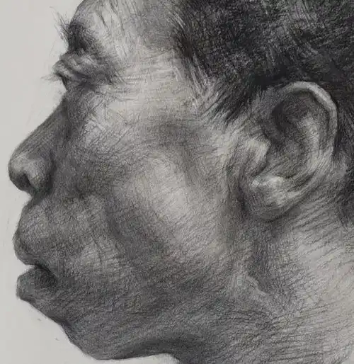 美术素描自学教程大全附全套视频教程下载
