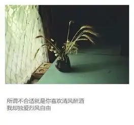 岁月里你很干净
