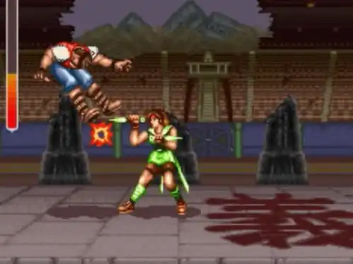 二十年前游戏杂志评选的十大美女格斗家,拳皇上榜资格都没有
