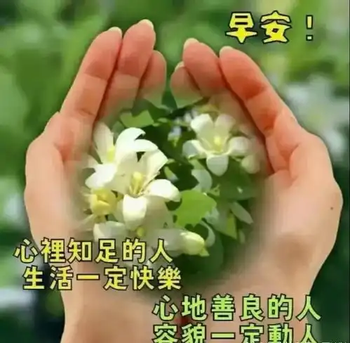 最新版早安短信问候祝福语大全最美早晨好问候表情图片带字温馨乐逍遥
