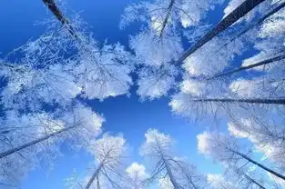 当垂柳青枝变成了琼枝玉树
