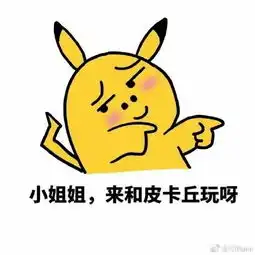 小姐姐们表情包
