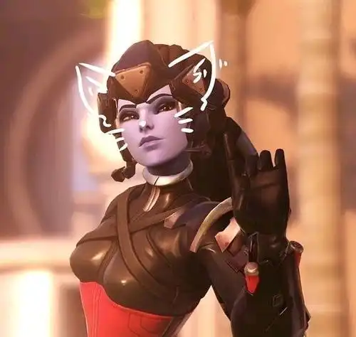 守望先锋猫耳英雄头像
