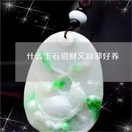 什么玉石招财又辟邪好养什么玉可以辟邪招好运
