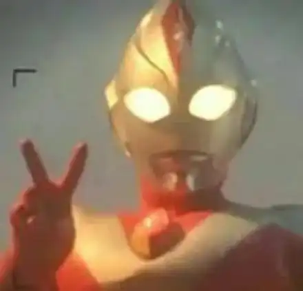 教你如何免费约拍小姐姐
