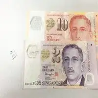 新加坡货币头像微信头像图片大全
