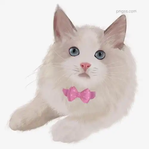 可爱手绘猫咪装饰元素图片大小2000x2000px图片尺寸2.97mb来自png搜索网pngss.com免费免扣png素材下载布偶场景动物粉鼻子乖巧蝴蝶结可爱蓝眼睛猫咪人宠人物温馨装饰图案
