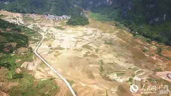 广西巴马农忙插秧忙,田园好风光
