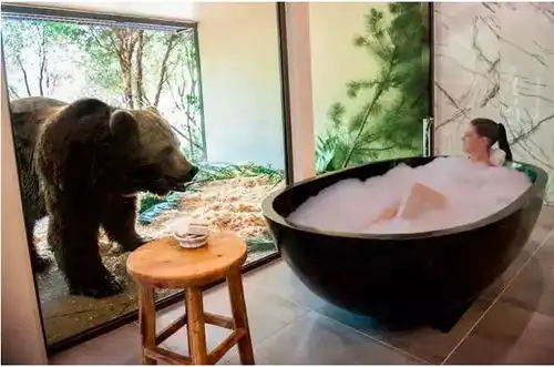 全世界最兽性的酒店,你敢进去住一晚吗
