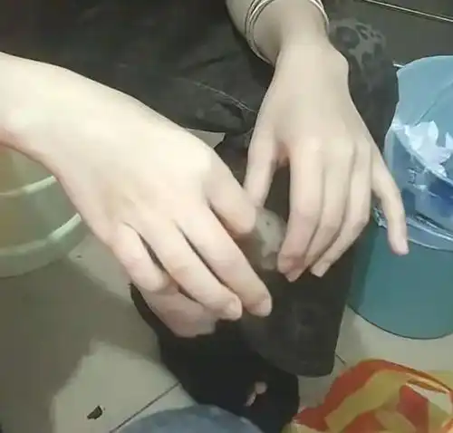 读书与不读书的差别广东2名女生纹身吸烟,一看就像精神小妹
