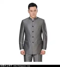 立领西服中年正品年会外套男修身免烫中山装套装
