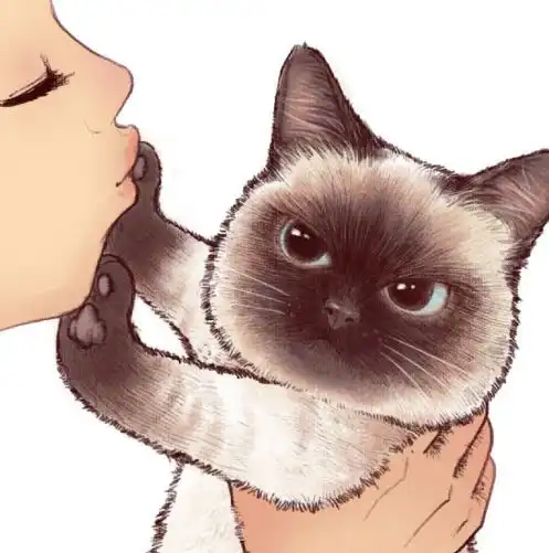 当你亲吻猫咪,它却嫌弃时,走开莫挨老子
