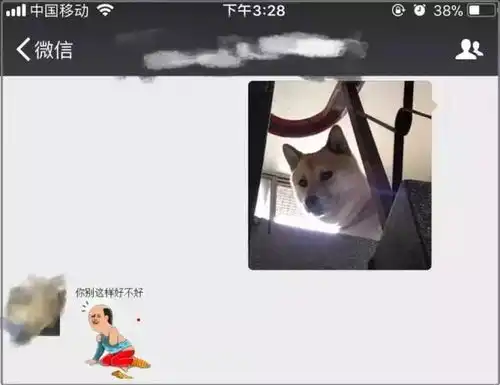 微信头像有多重要自从换了这个,每天都会收到好多小秘密
